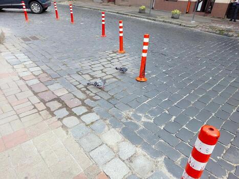Roadway With Guardrails Guiding Vehicles and Birds Crossing at a Tranquil Urban Setting in Daylight photo
