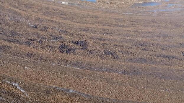 Mud Surface Patterns Observed in Water Treatment Facilities During Daylight Hours photo