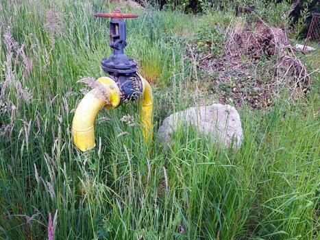 Natural Gas Valve Surrounded by Lush Grass in a Rural Setting photo