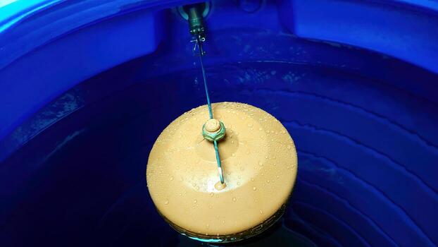 Water Valve Float Mechanism in a Tranquil Water Tank Environment photo