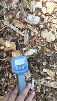 Measuring Moisture Content of Wood Chip Biofuel Using a Handheld Moisture Meter in a Storage Area photo