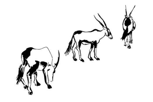 A decorative art print of an oryx in a contemporary line and shape style. Combines abstract forms with recognizable animal features for a unique wall art piece. vector