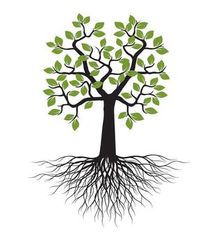 Shape of Tree with Leaves and Roots. Outline Illustration on white backround. vector