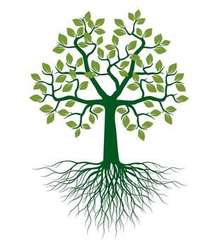 Shape of green Tree with Leaves and Roots. One object. vector