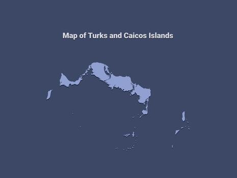 Map of turtles and cabo islands, minimalistic silhouette in soft blue on dark background vector