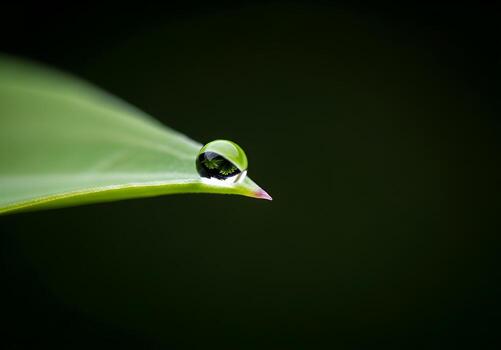 A serene macro photograph captures a crystal clear water droplet balancing on a green leaf tip, revealing a refracted natural world within photo