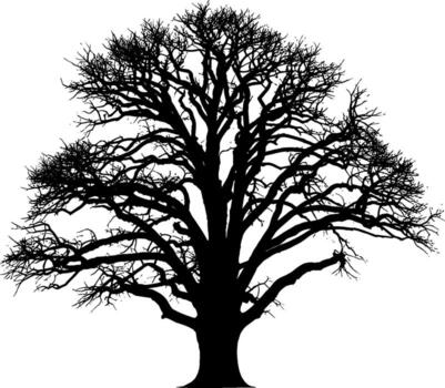 graphic silhouette of a large bare tree with intricate sprawling branches vector