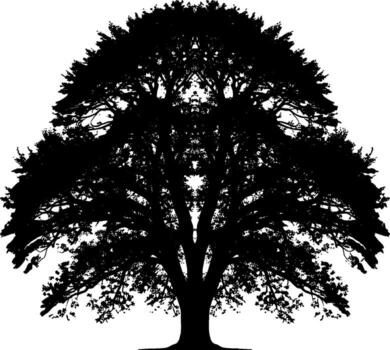 Tree Silhouette Intricate Branches Against Clear Backdrop vector