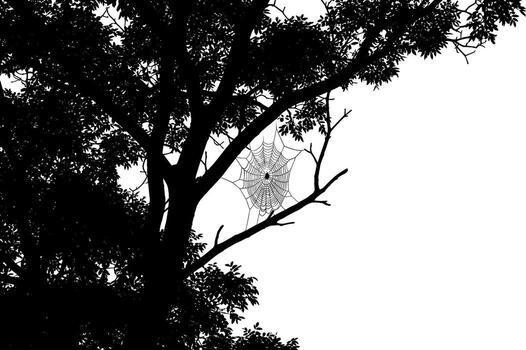 Silhouette of a spider web on a tree against a white background vector