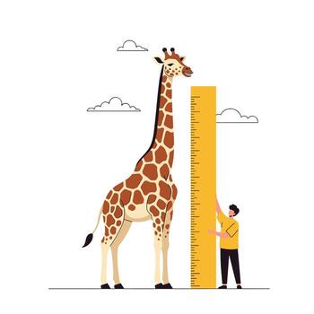 A colorful illustration of a giraffe being measured with a large ruler by a person next to it, with clouds in the background, on a white background. vector