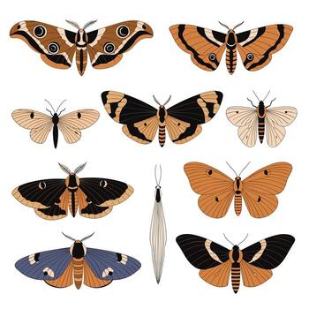 Collection of various stylized moths and butterflies in different colors and patterns. vector