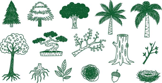 dibujado a mano verde árbol y naturaleza elemento ilustraciones en transparente antecedentes vector