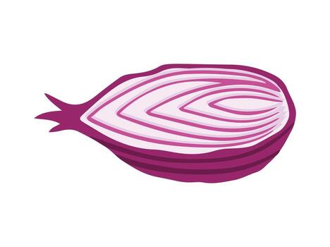 Ruby Red Onion Slice Illustration vector