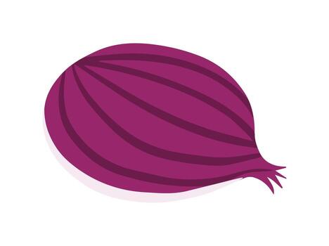 Ruby Red Onion Slice vector
