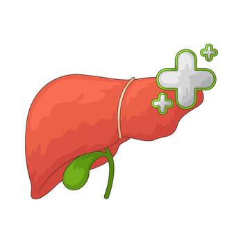 Illustration of Healthy Liver with Plus Sign vector