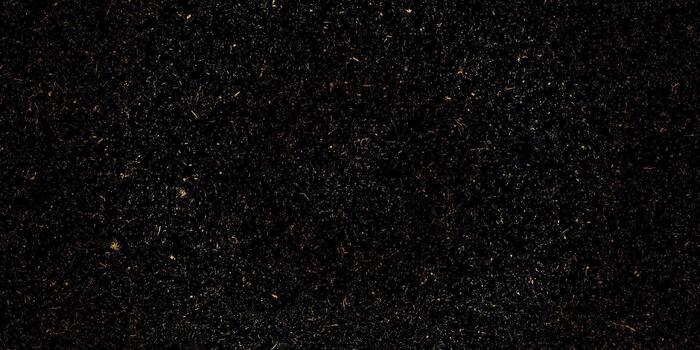 punto granos punto papel ruido textura con angustia efecto ilustración modelo. vector