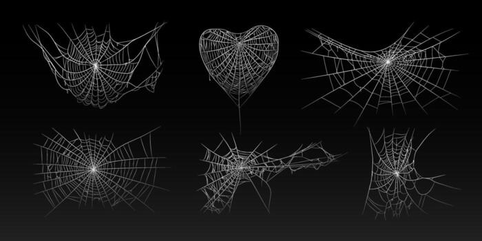 Halloween old spooky cobwebs with various sizes and shape. vector