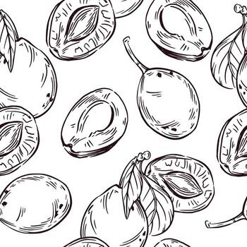 Seamless pattern of plums, half plums and prunes. All objects are hand-drawn in ink and converted into . The pattern is suitable for kitchen textile design, printing on paper and fabric vector