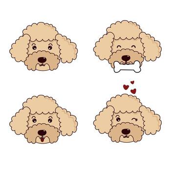 A cute cartoon Poodle face set with four different emotions. Collection of a happy puppy character smiling, eating a bone, sticking tongue out, and winking. vector