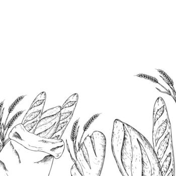 hand drawn baguette and ciabatta in a rustic craft bag.Detailed liner sketch perfect for food blog illustrations. Minimalistic outline for artisan bakery design isolated vector