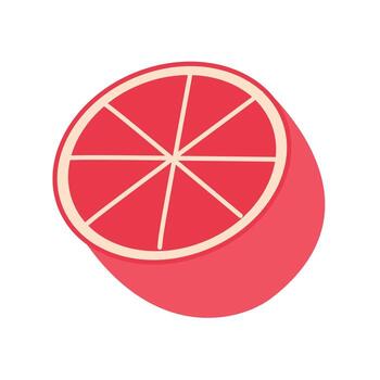 Grapefruit, Grapefruit slice, Slices of Pink Grapefruit vector