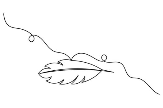 Continuous one line bird feather outline minimal sketch style vector