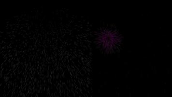 Animation effect of multiple colorful fireworks exploding into tiny dust on a black background video