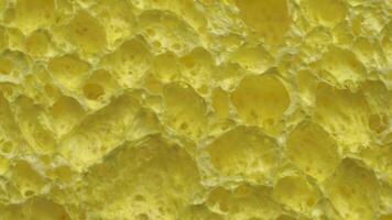 cellulosa svamp roterande i cirkel. abstrakt bakgrund textur makro video