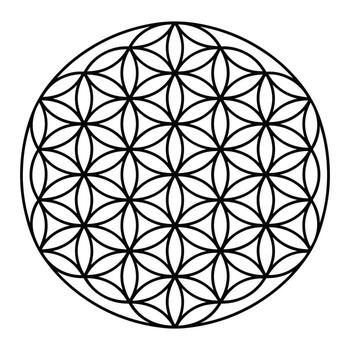 resumen sagrado geometría modelo con flor de vida motivo vector