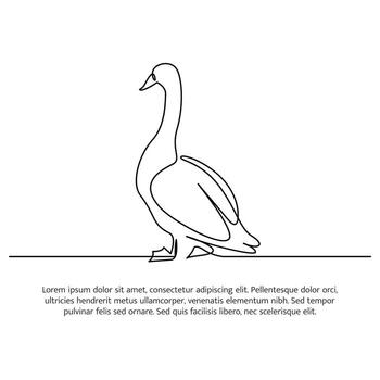 Swan line design.Swan decorative elements drawn with one continuous line. illustration of minimalist style vector