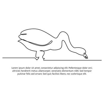 Swan line design. Swan decorative elements drawn with one continuous line. illustration of minimalist style on white background vector