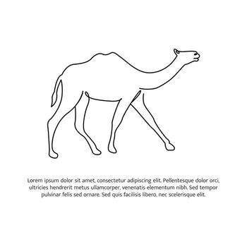 Camel line design. Simple animal silhouette decorative elements drawn with one continuous line. illustration of minimalist style white background vector