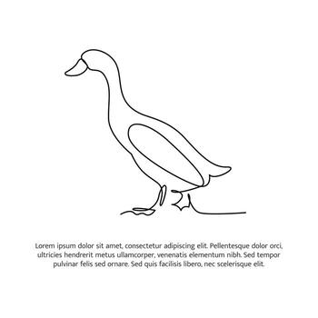 Duck line design. Duck decorative elements drawn with one continuous line. illustration of minimalist style on white background vector