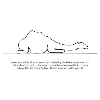 Camel line design. Simple animal silhouette decorative elements drawn with one continuous line. illustration of minimalist vector