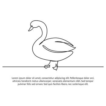 Swan line design. Swan decorative elements drawn with one continuous line. illustration of minimalist vector
