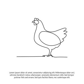 Chicken design. Decorative elements drawn one continuous line. illustration of minimalist style on white background vector