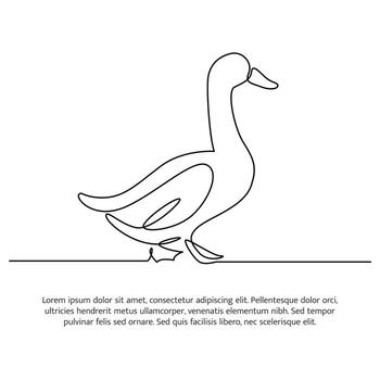 Duck line design. Duck decorative elements drawn with one continuous line. vector