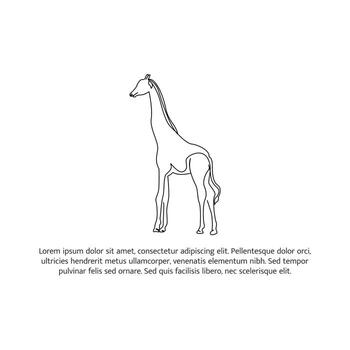 jirafa línea diseño. fauna silvestre decorativo elementos dibujado con uno continuo línea. ilustración de minimalista estilo en blanco fondo vector
