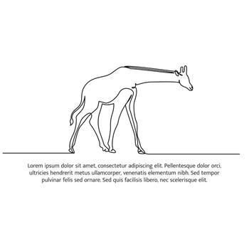 jirafa línea diseño. fauna silvestre decorativo elementos dibujado con uno continuo línea. ilustración de minimalista estilo en blanco antecedentes. vector