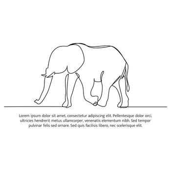 Elephant line design. Wildlife decorative elements drawn with one continuous line. illustration of minimalist vector