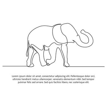 Elephant line design. Wildlife decorative elements drawn with one continuous line. illustration of minimalist style vector