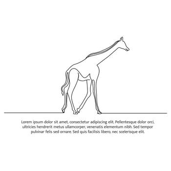 jirafa línea diseño. fauna silvestre decorativo elementos dibujado con uno continuo línea. ilustración de minimalista estilo en blanco antecedentes vector