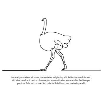 Ostrich line design. Simple animal silhouette decorative elements drawn with one continuous line. illustration of minimalist style on white background.. vector