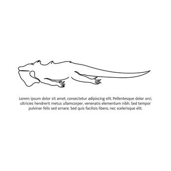 Iguana line design. Simple animal silhouette decorative elements drawn with one continuous line. illustration of minimalist style white background vector