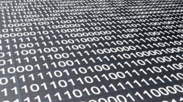 monocromatico grigio binario codice digitale dati tecnologia sfondo video