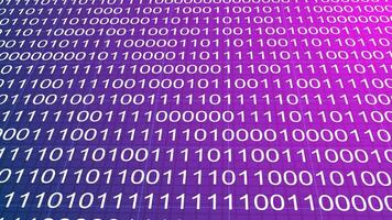 Glowing Magenta Purple Binary Code Data Flow Background video