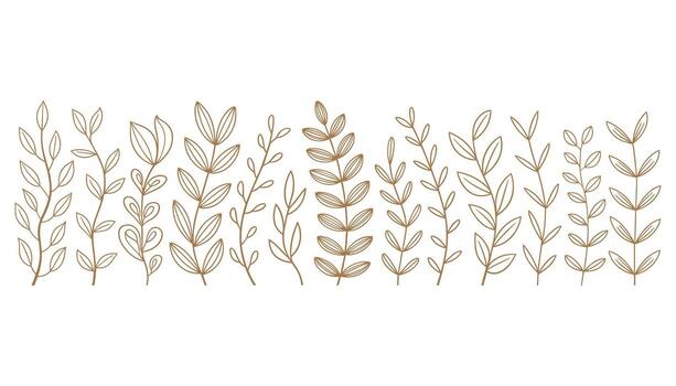 A horizontal line of various brown line art botanical branches and leaves on a white background leaf vector