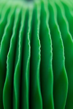 Abstract Green Texture Close-up of Wavy, Ribbed Surface photo
