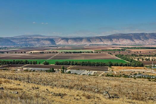 Aerial perspective of cultivated fields arranged in patches, surrounded by hills and bordered with rows of green trees photo