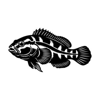 A monochrome illustration of a fish in profile, featuring sharp lines and stylized details vector
